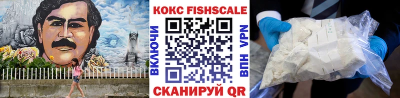 где купить наркоту  Каменск-Шахтинский  COCAIN Эквадор 