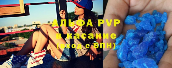 сатива Пролетарск