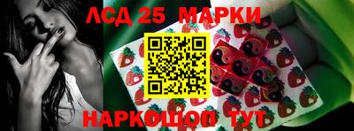 гашик Краснодар