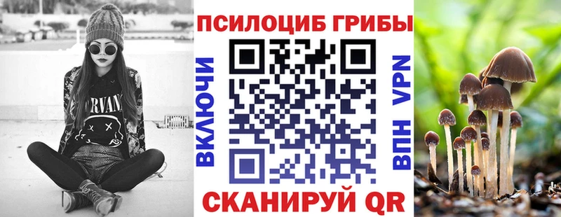 где можно купить наркотик  Каменск-Шахтинский  Псилоцибиновые грибы Cubensis 