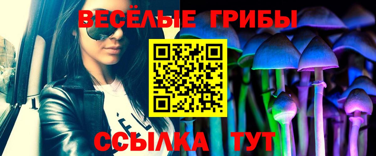 Псилоцибиновые грибы GOLDEN TEACHER  Вход с VPN  Каменск-Шахтинский  Галлюциногенные грибы прущие грибы 